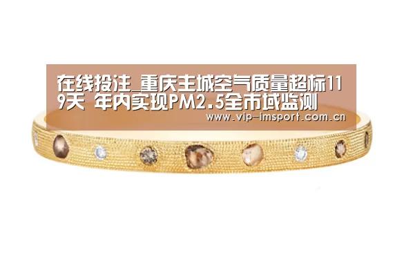 在线投注_重庆主城空气质量超标119天 年内实现PM2.5全市域监测(图3) im体育下载