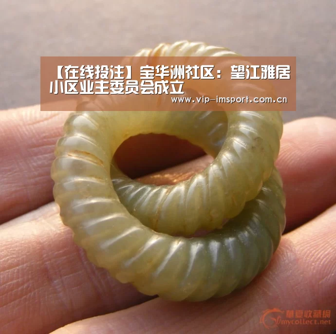 【在线投注】宝华洲社区:望江雅居小区业主委员会成立(图1) 在线投注