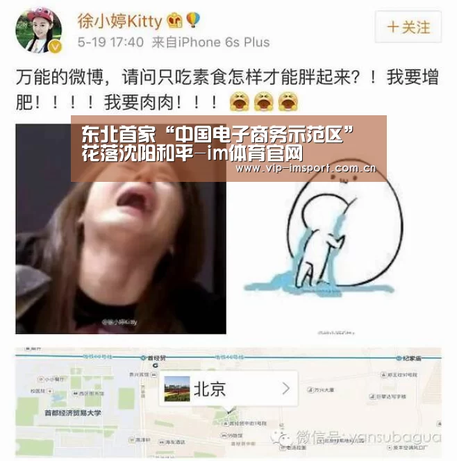 东北首家“中国电子商务示范区”花落沈阳和平-im体育官网