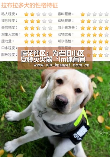 梅花社区:为老旧小区安装灭火器‘im体育官网’(图1) 实时赔率